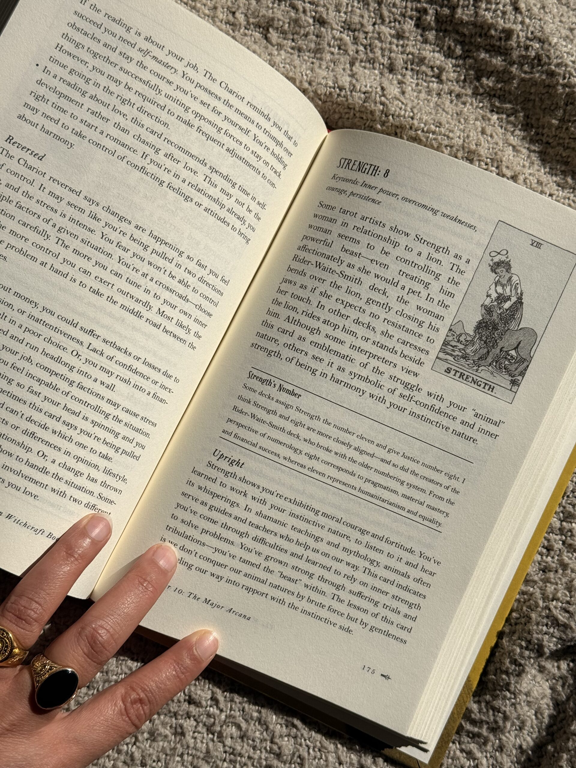 Livre du tarot de la sorcellerie moderne – Image 3