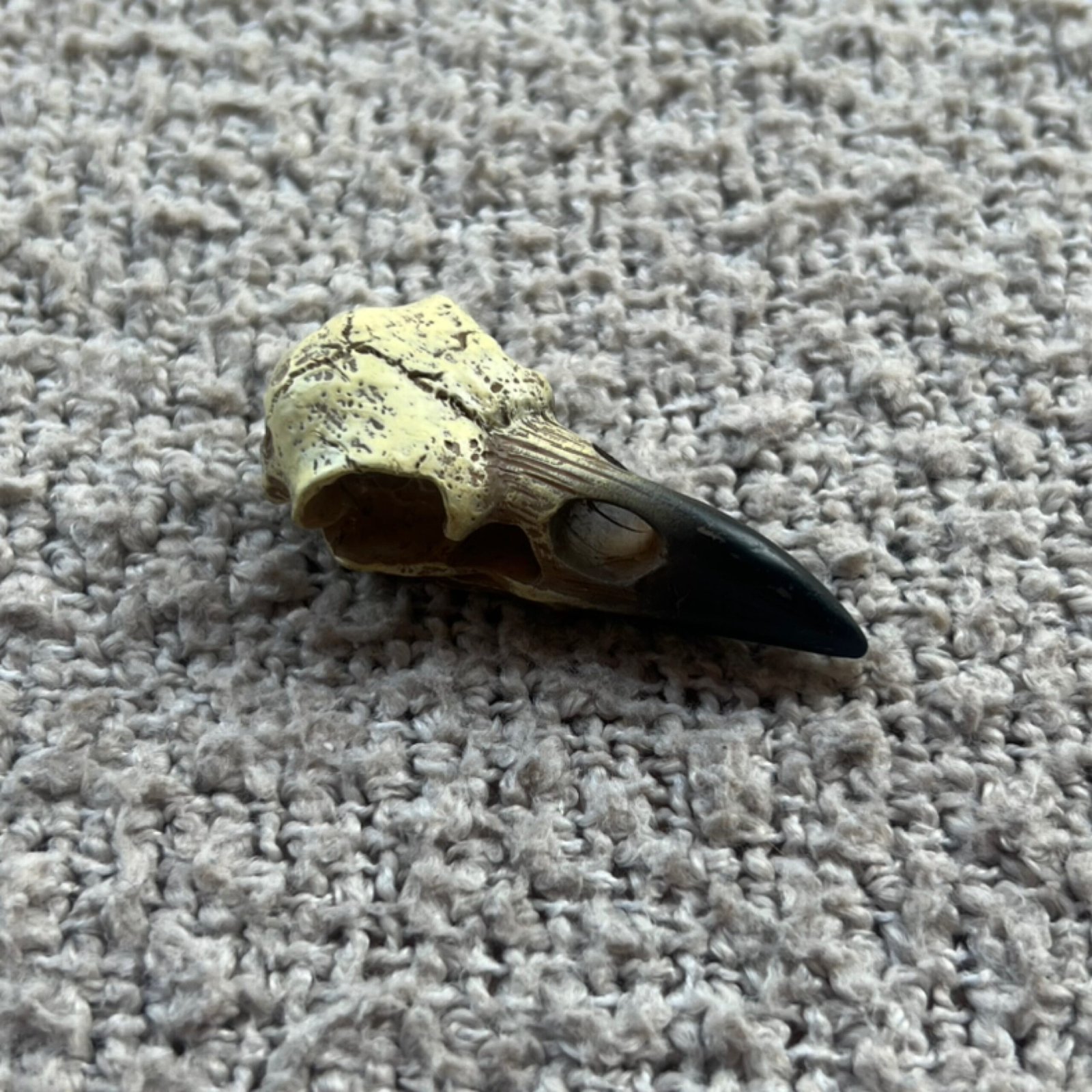 Raven Skull