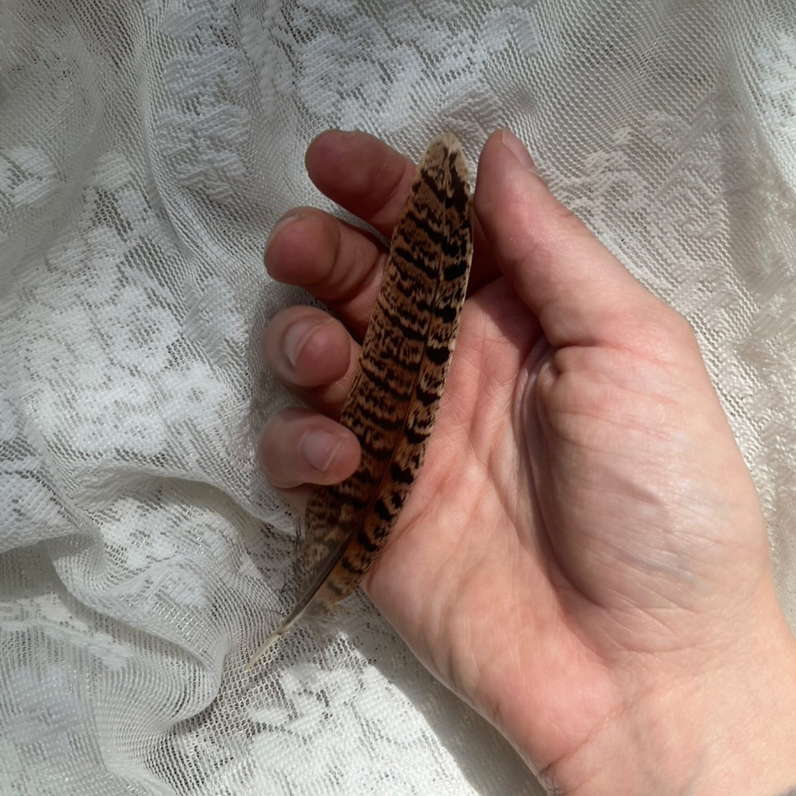 Feather Small
