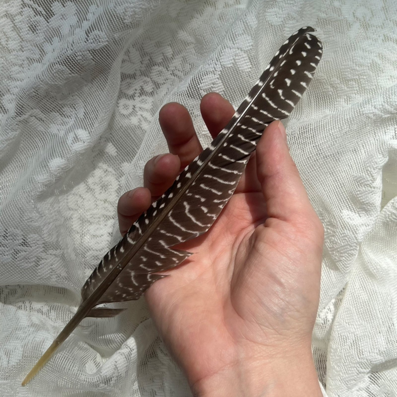 Feathers Big
