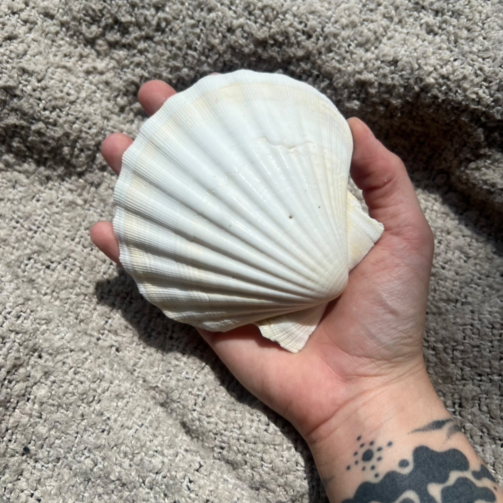 Shell