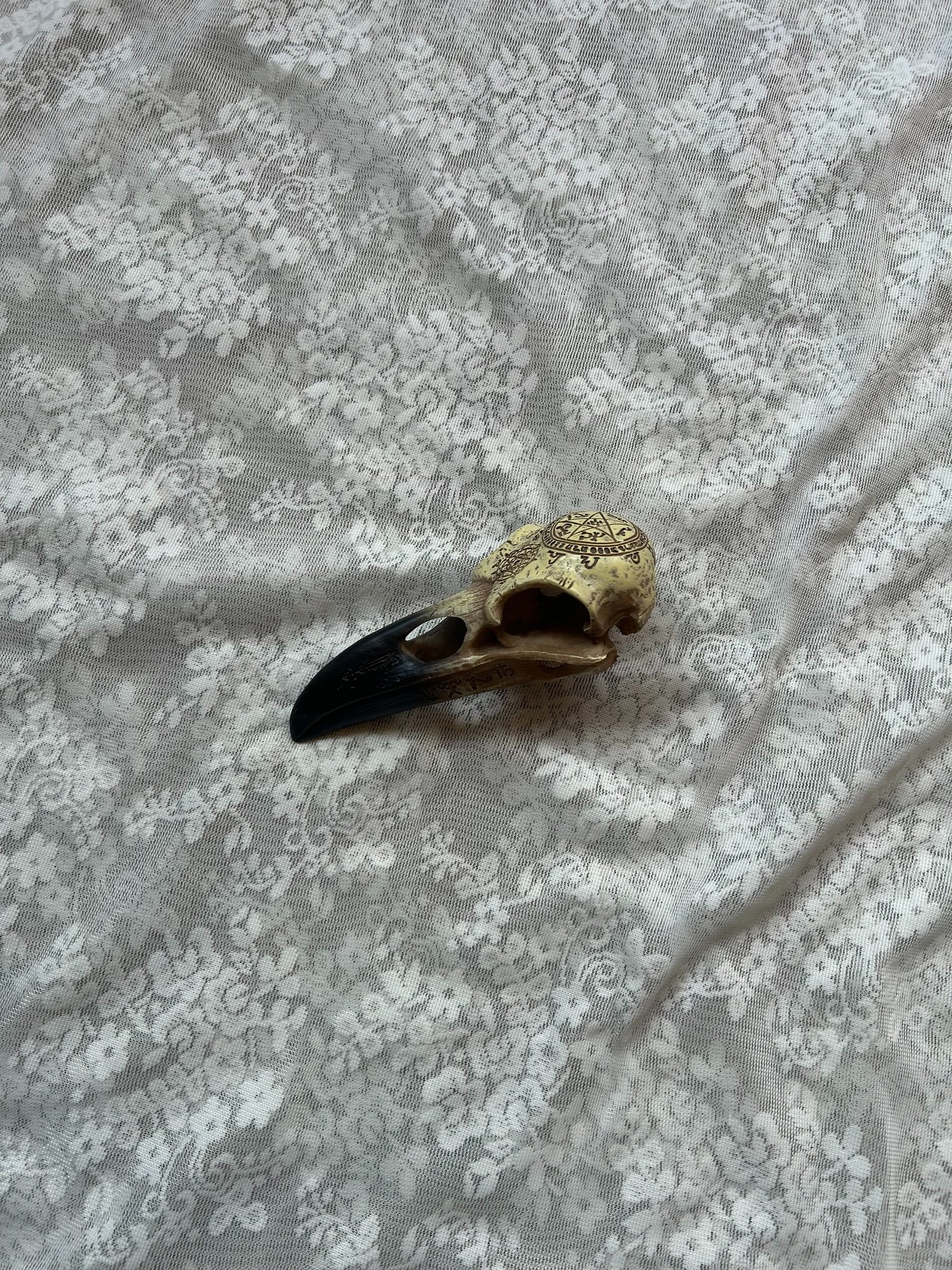 Big Raven Skull